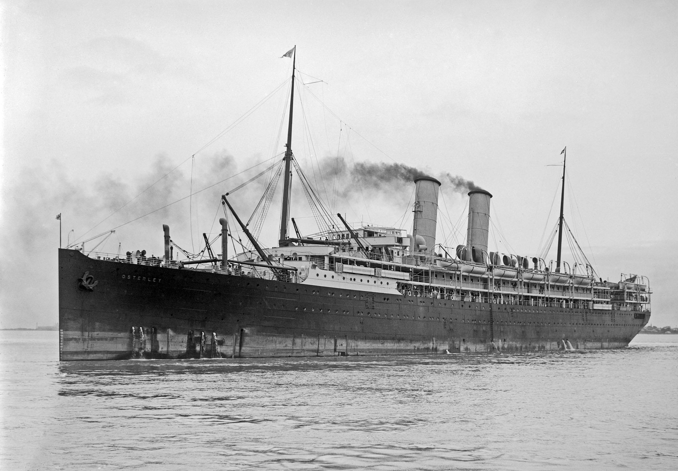 RMS Osterley.jpg