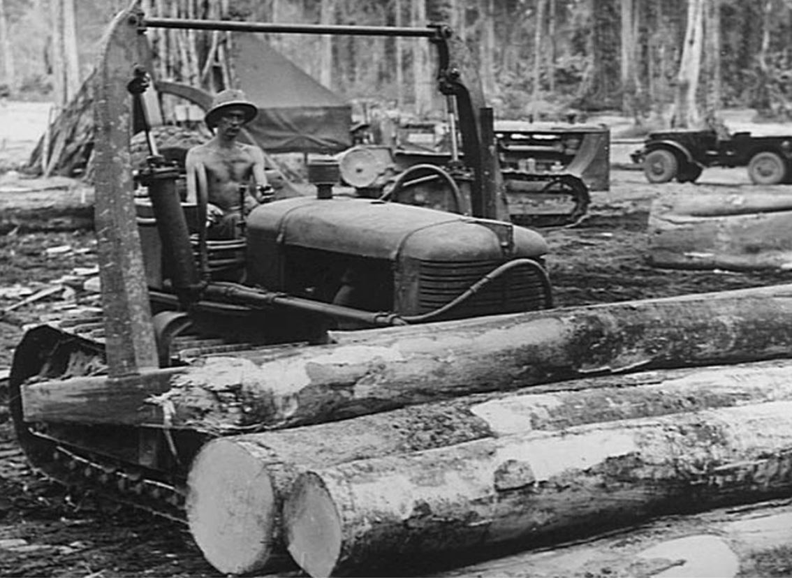 2-2nd Forestry.jpg