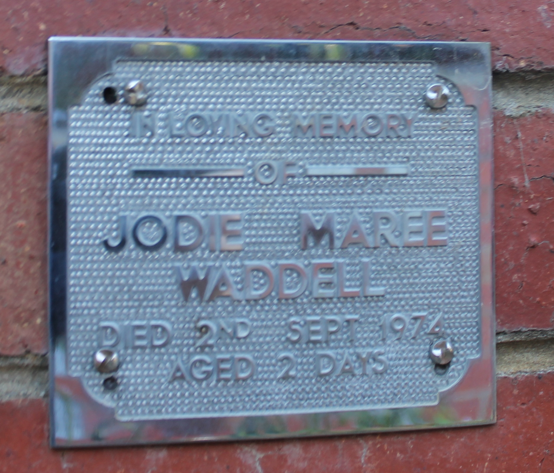 WADDELL Jodie.jpg