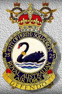 No 25 Squadron Colour Patch.jpg