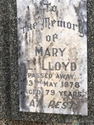 Mary L Lloyd.JPG