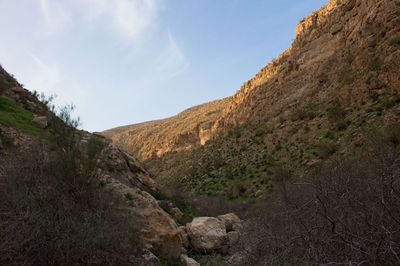 Fletcher's Wadi Auja.jpg